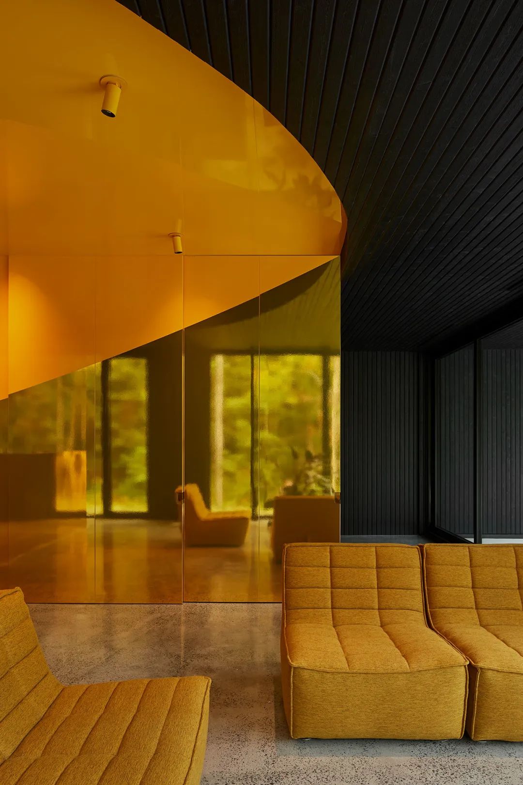 他们把家搬到了森林里，一间森林