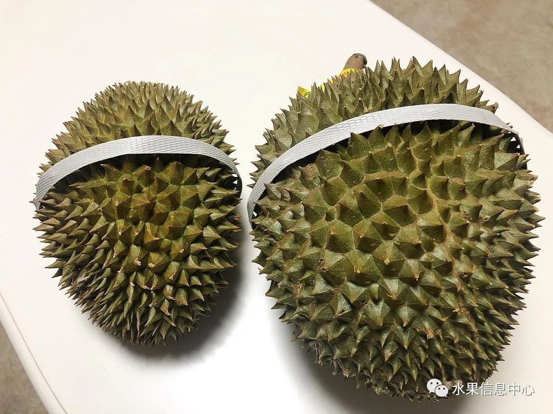 盘点那些迷你的东西,盘点不同样子的水果