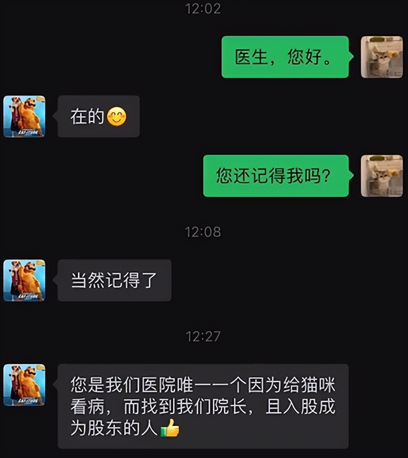 网友养了70只布偶猫,有人家里养了110只布偶猫