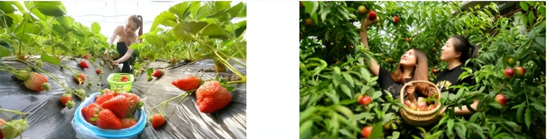 在休闲度假区有什么项目可操作,快来看看哪些项目更受欢迎