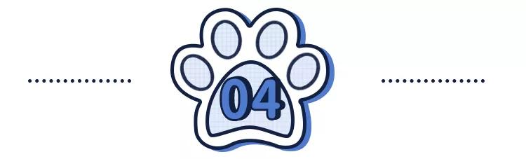 哪种猫招财好养活,哪种猫最招财又好养