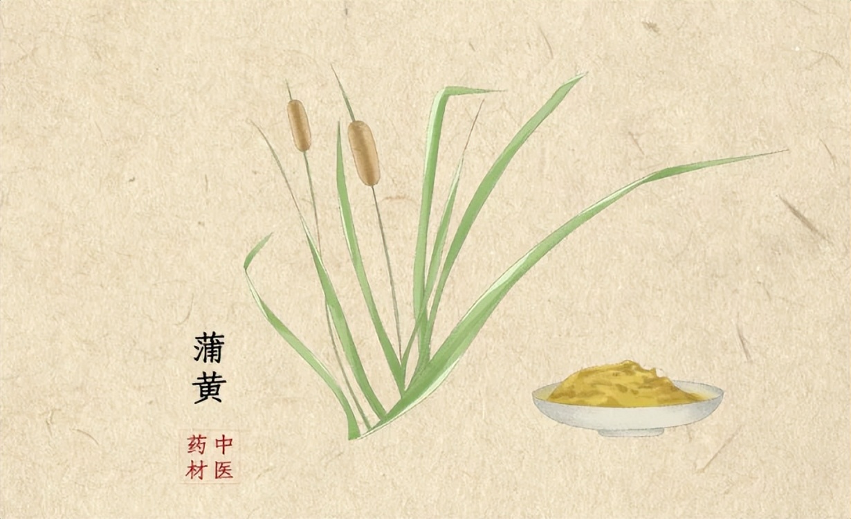 李时珍钦定的止痛“神方”，仅2味药，可化解瘀血内阻引起的诸证