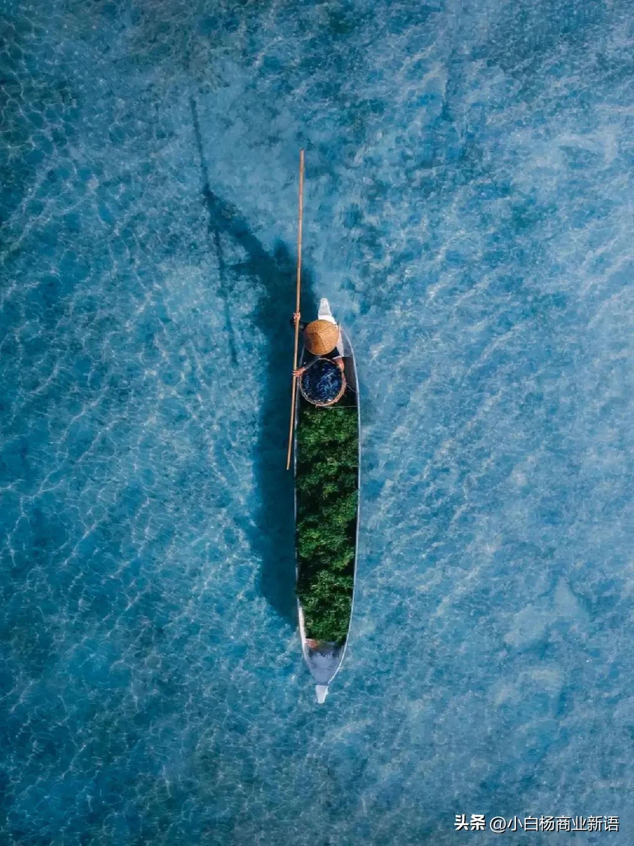 私域营销的思路和方法,私域营销成功案例分享会