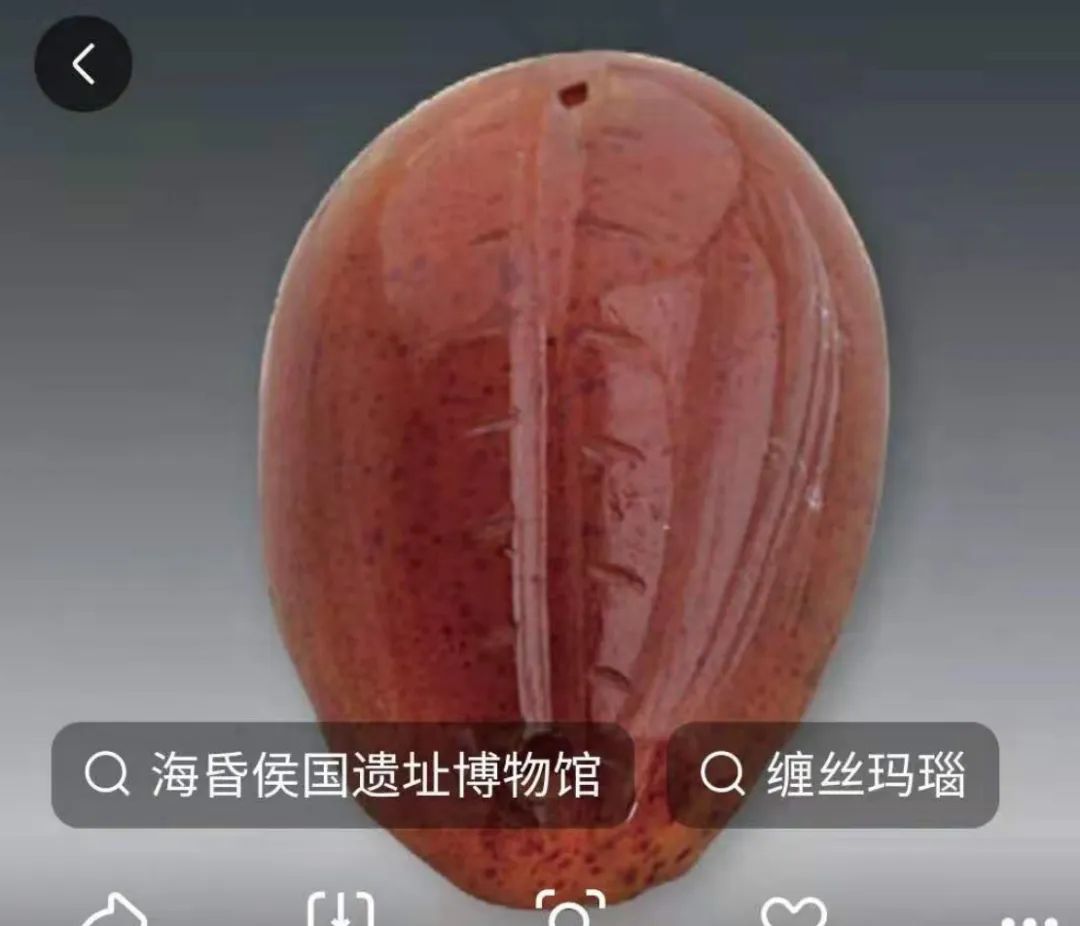 天然贝币真品价格,原始贝币发展史