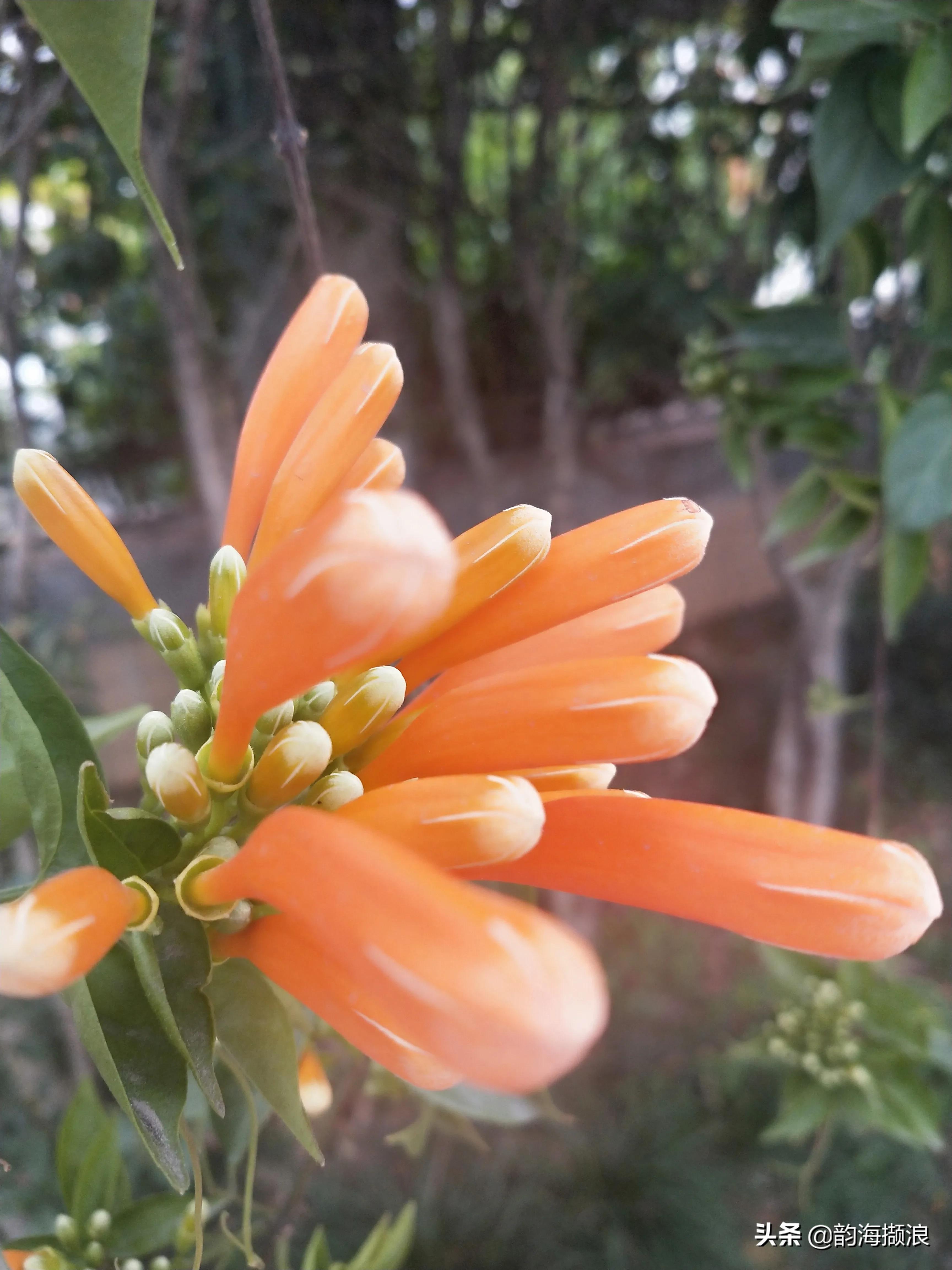 山城龙岩,龙岩风景区群山环绕
