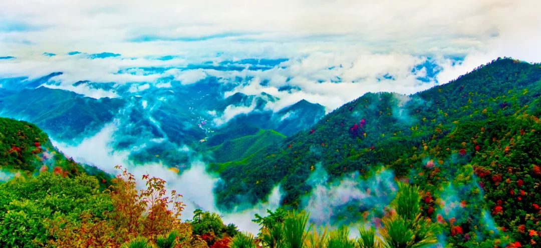 浙江多地景区官宣免票或优惠,浙江多地景区宣布免费