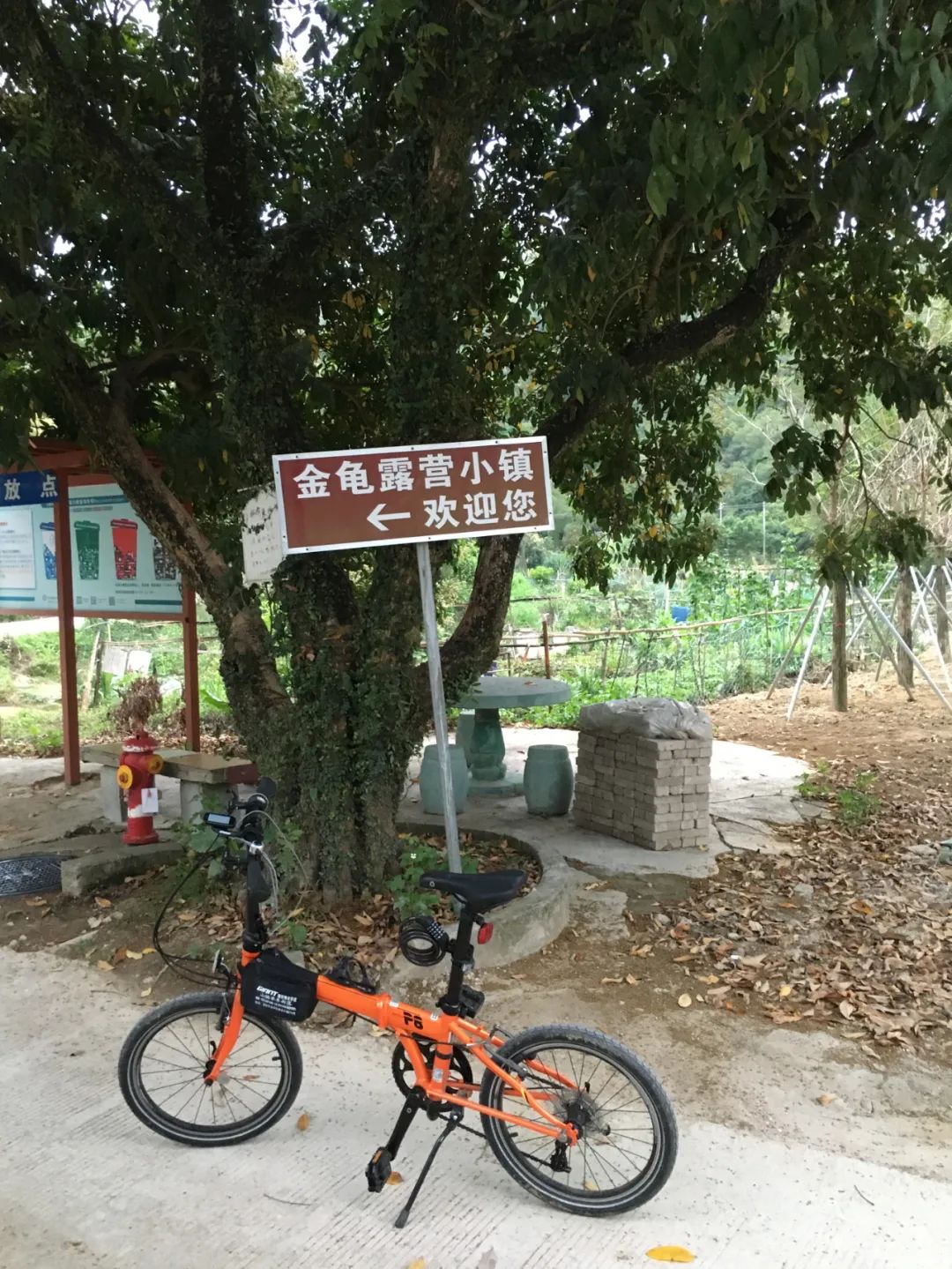 旭光车行雅迪电动车,旭光单车