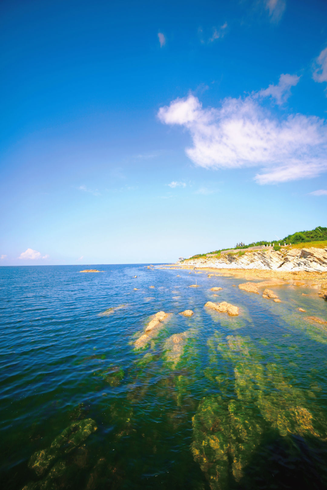 519中国旅游日辽宁,519中国旅游日广东