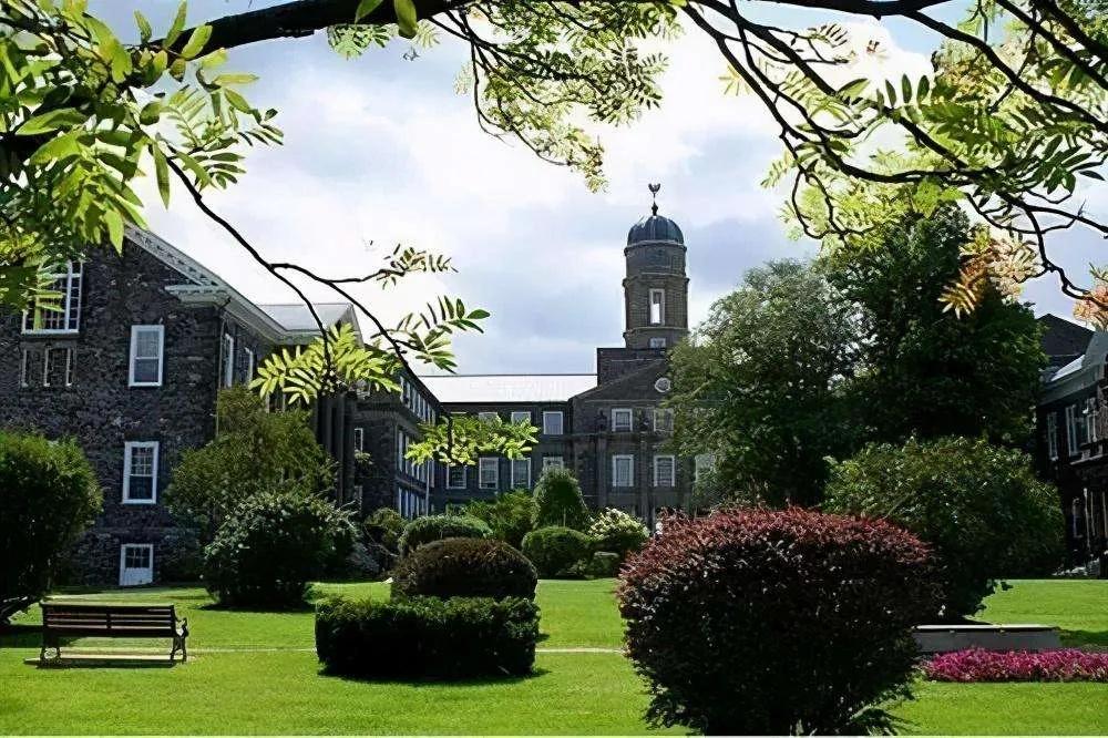 【合作大学】加拿大温莎大学—现实版“绿野仙踪”