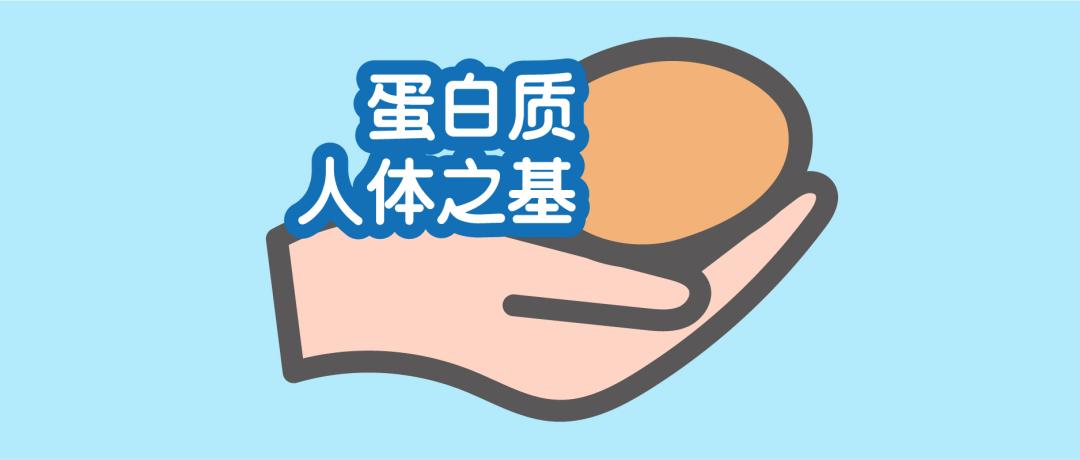 缺乏蛋白质如何合理补充,身体缺少蛋白质维生素会怎样