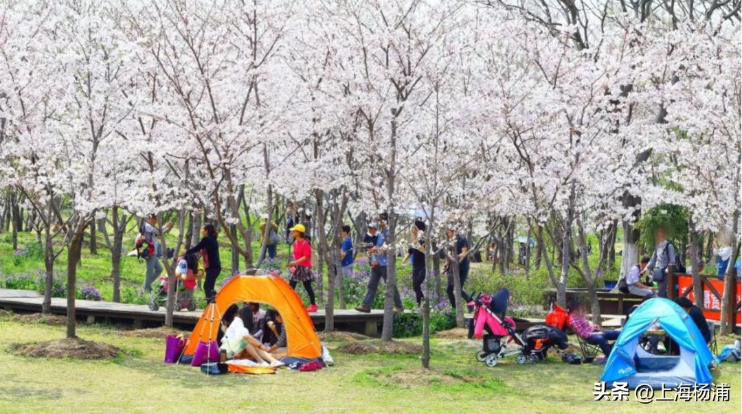 最值得去的露营地,值得去的露营地