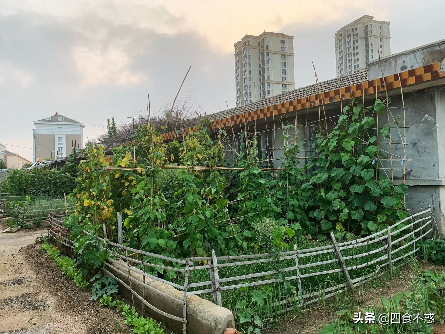 山东荣成是宜居的地方吗,威海和荣成哪个最适合定居