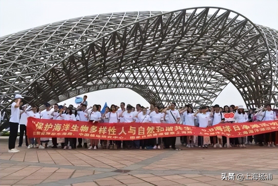 海洋日活动入口,世界海洋日保护蔚蓝的家园