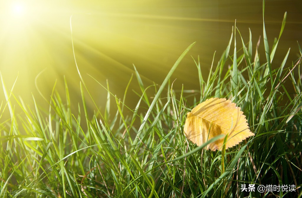 当你陷入困境的时候该怎么做,当你陷入困境时视频