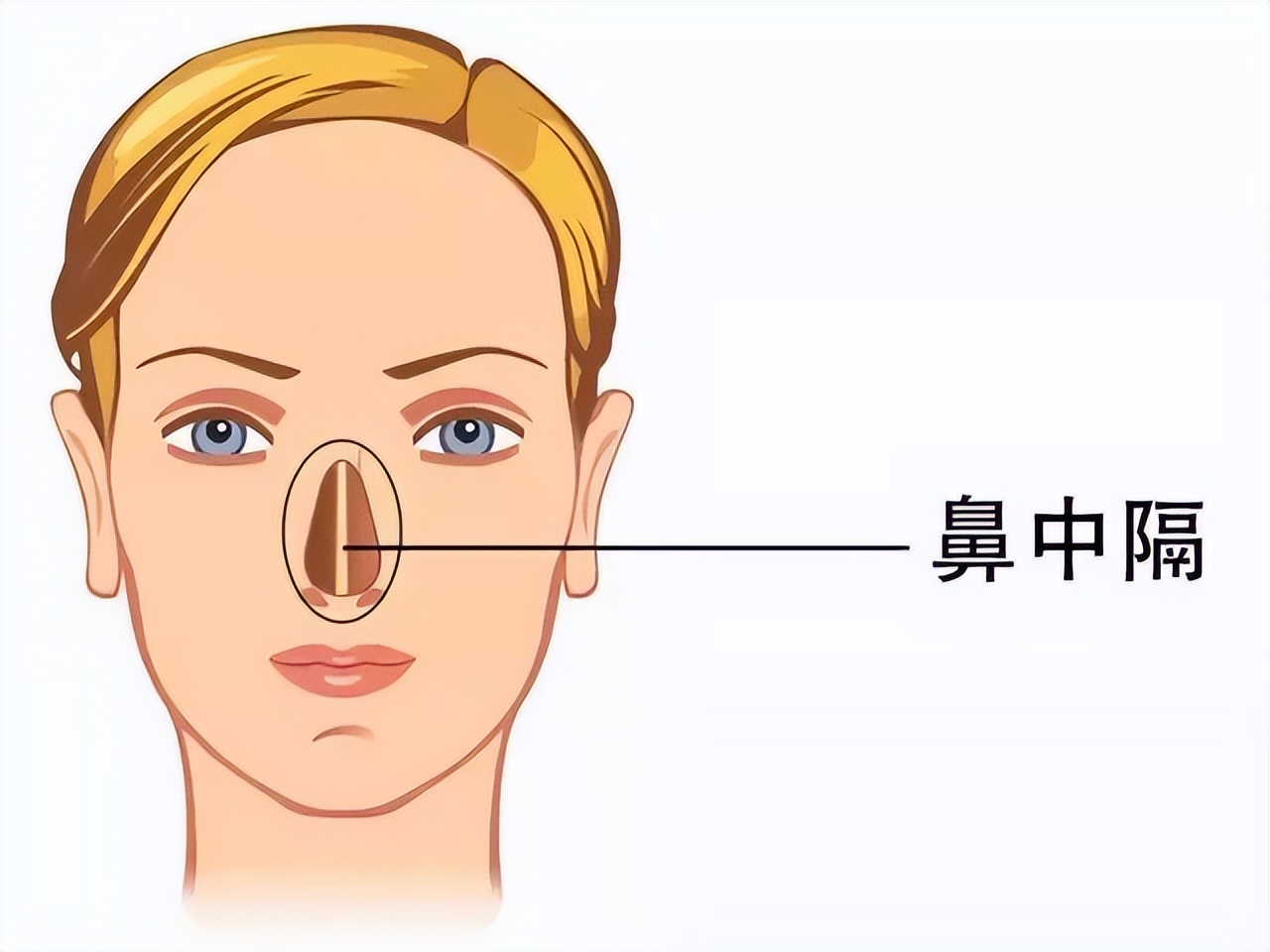 没感冒鼻子不通气是什么原因,鼻子不通气冒火什么原因引起