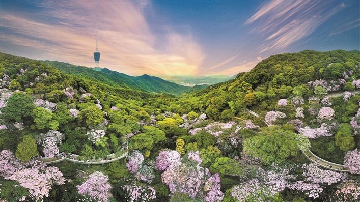 航拍深圳城市全景风光,大深圳美景图片