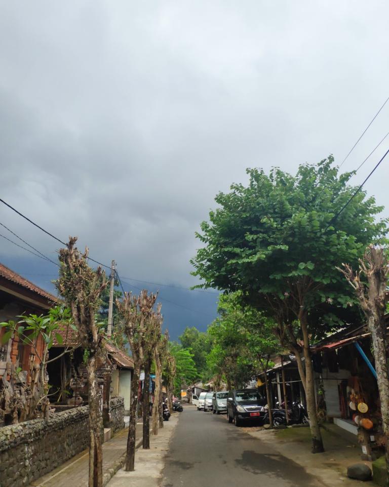 g20巴厘岛峰会去过的村庄,g20峰会巴厘岛会场景