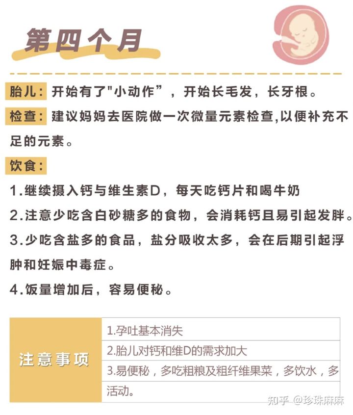 孕妇受孕过程,孕妇从怀孕到生的注意事项及时间