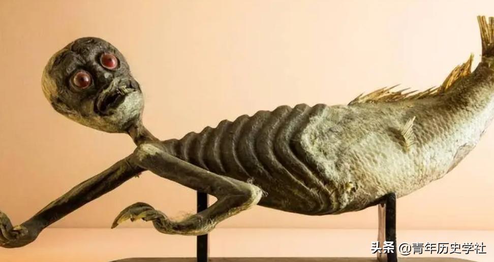 美人鱼神秘吗,美人鱼真实秘密