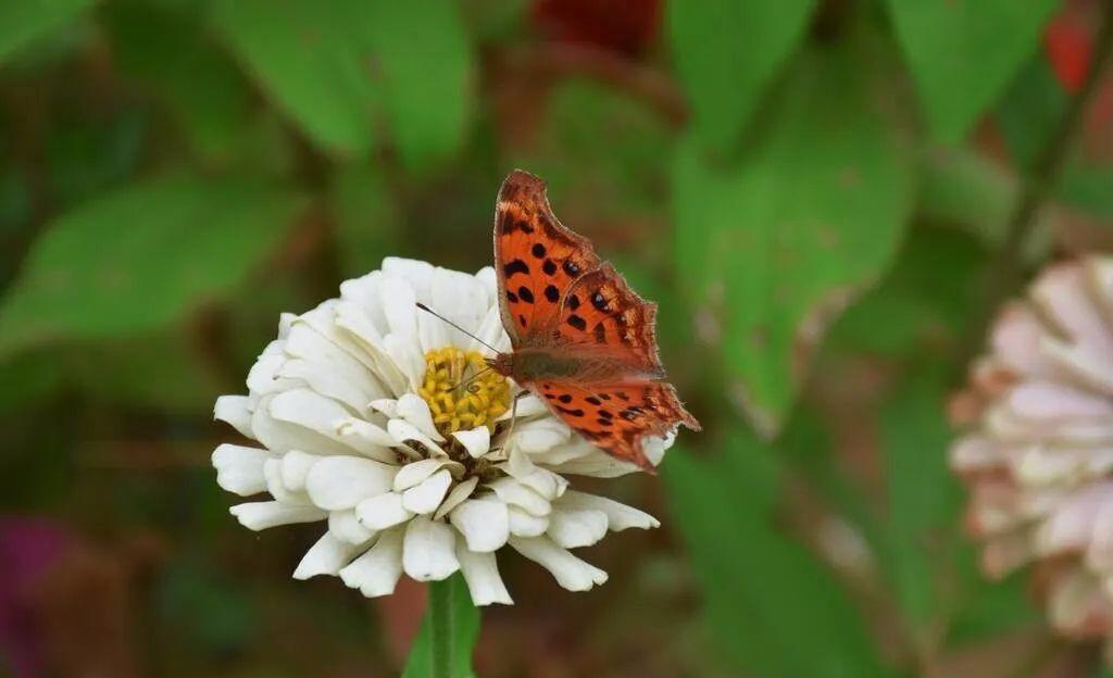 2022年精选正能量的励志语录,2022年正能量励志的语录汇编