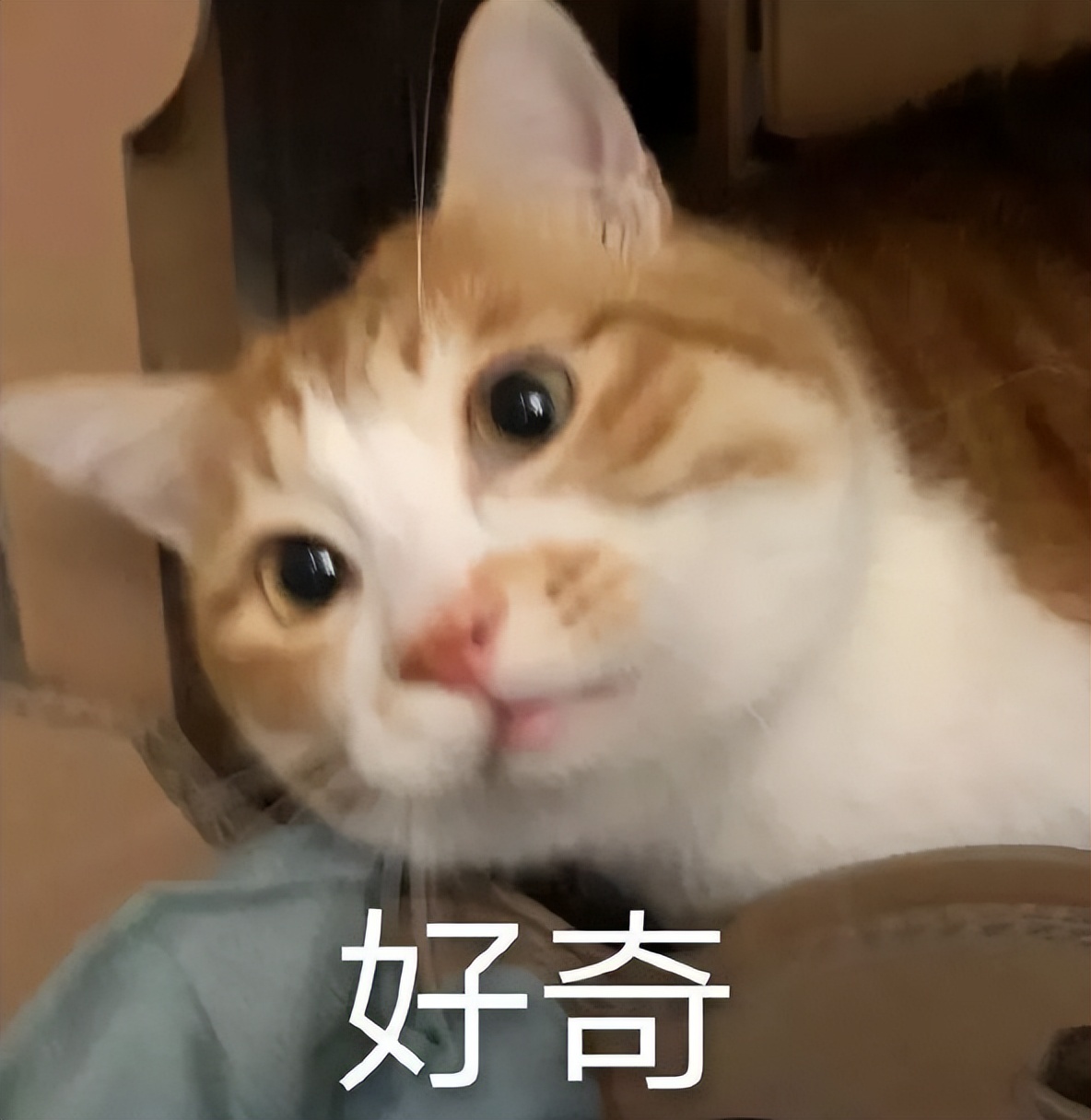 浼佷笟寰俊蹇嵎鍥炲妯℃澘,寰俊濡備綍鍗虫椂鍥炲