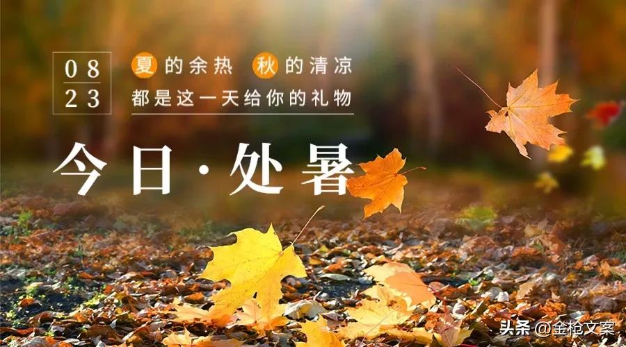 二十四节气处暑朋友圈,二十四节气处暑日记