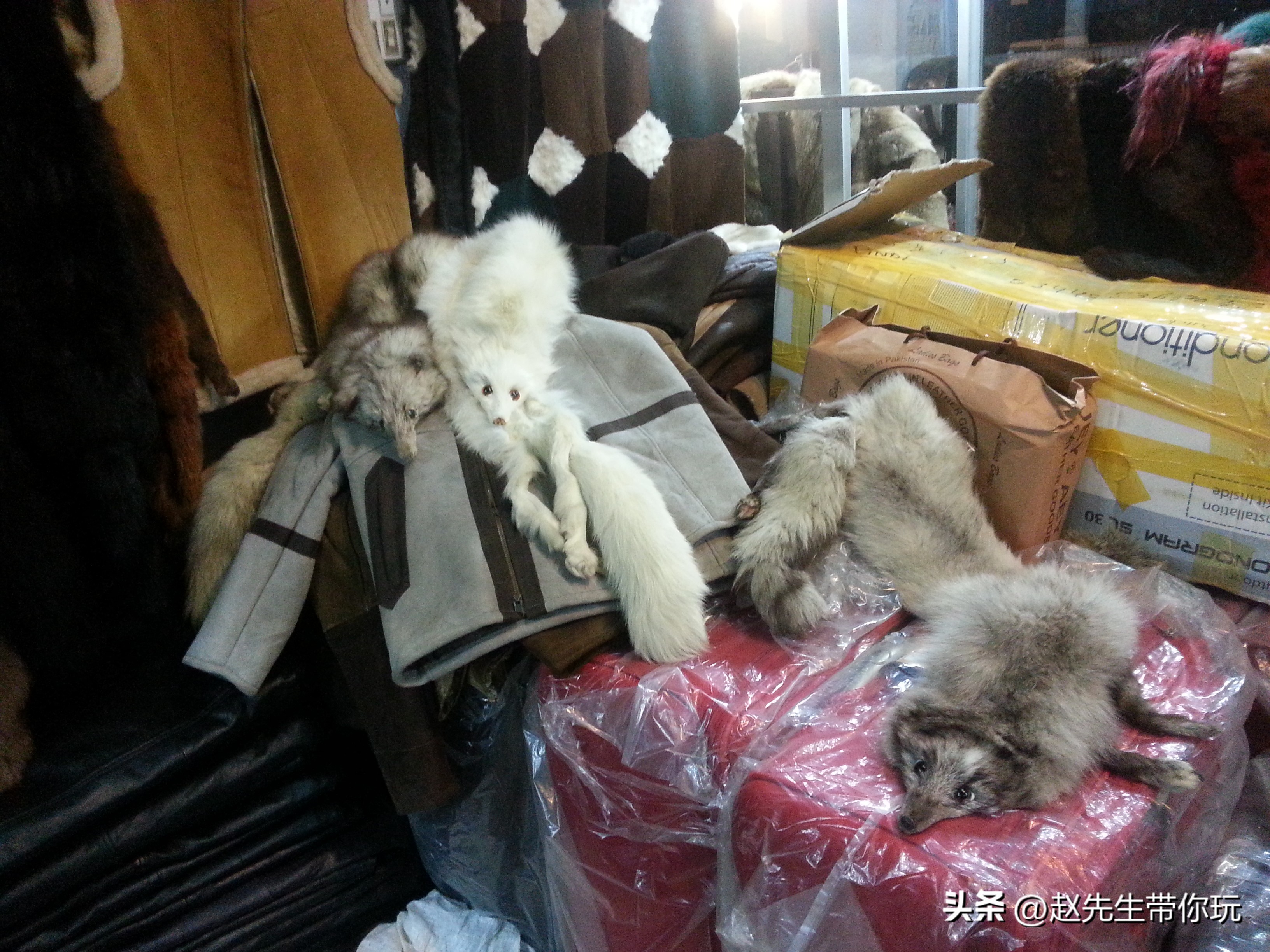 二十年游历分享之269：亚洲48：巴基斯坦38伊斯兰堡11特产4-皮草