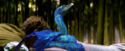 神奇动物3最新上映,神奇动物3电影评价