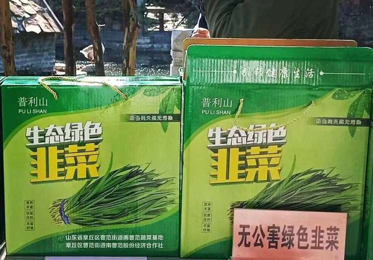 济南3-4月份赏花适合去哪里旅游,五一济南哪里好玩