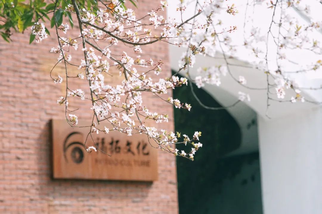 成都有哪些公园值得一去,成都必去的公园排行榜最新名单