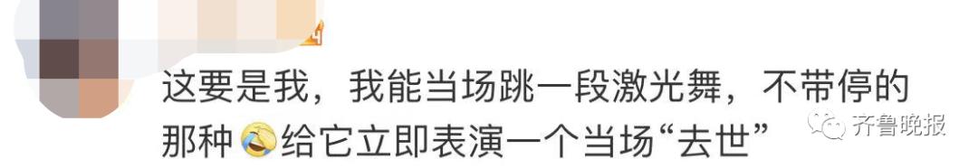 蛇总是偷吃鸡蛋怎么办,2米长蛇惊现居民楼