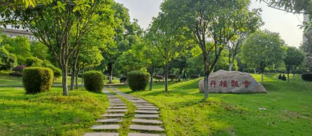 你所不知道的中国重点大学,你不知道的大学综合实力