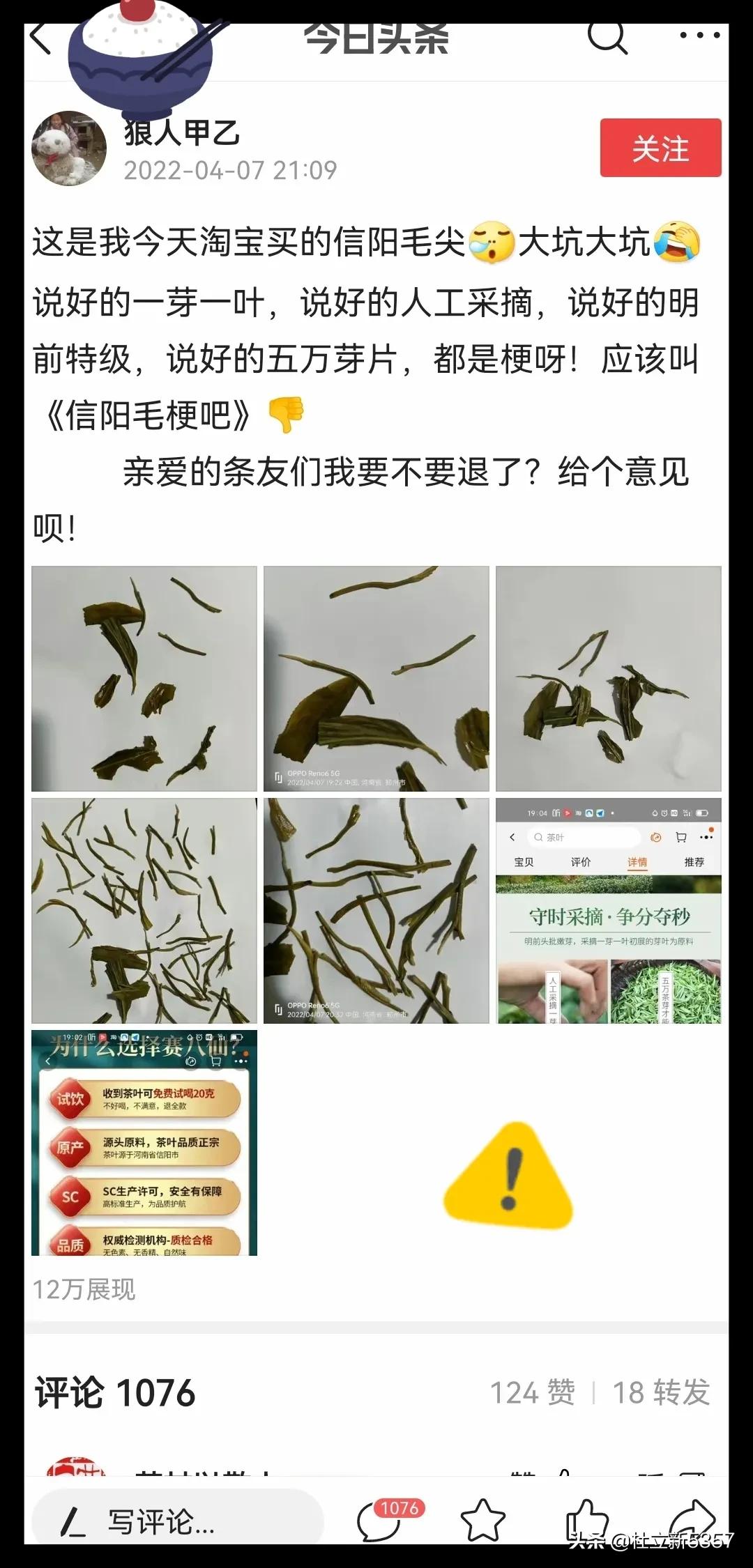 信阳毛尖骗局大揭秘,在信阳买毛尖避坑