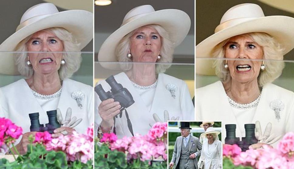 卡米拉惊艳瞬间,查尔斯卡米拉最新视频