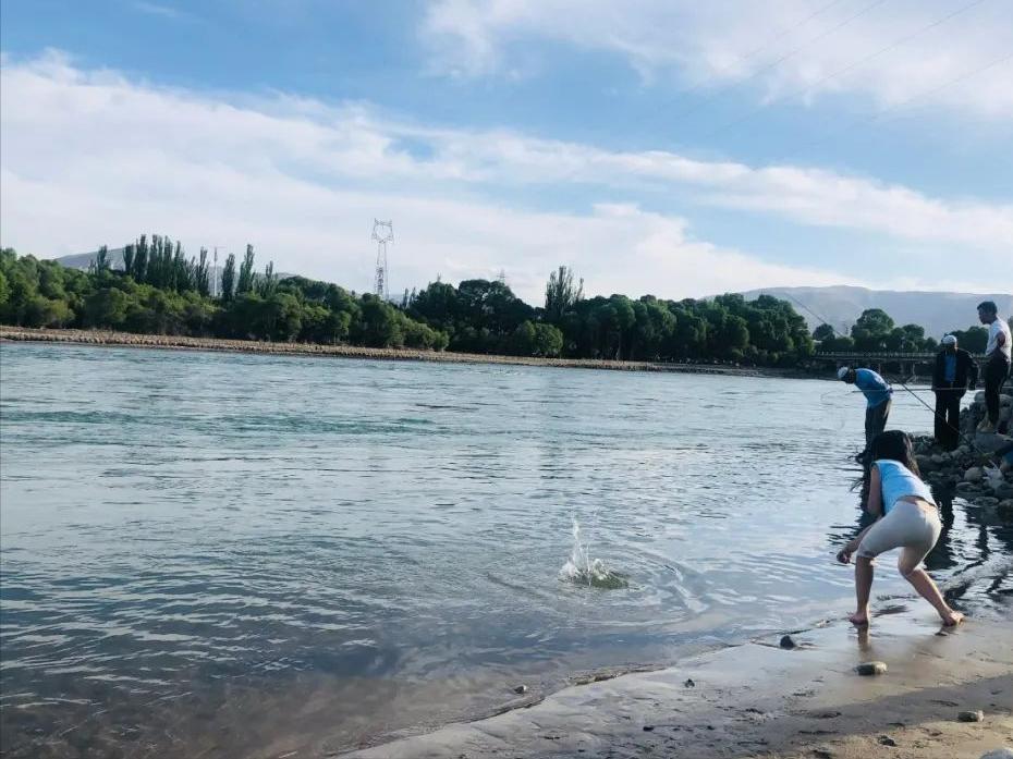 新疆姑娘回家被狼群包围,新疆姑娘遇到狼群