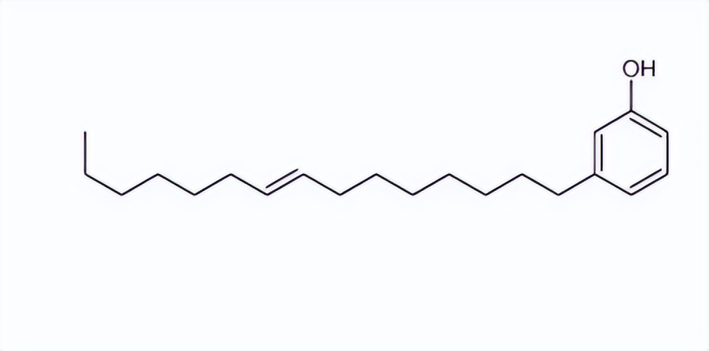 腰果酚型环氧固化剂,腰果酚固化剂的优缺点