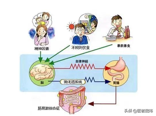 一紧张就腹痛拉肚子,紧张腹痛腹泻