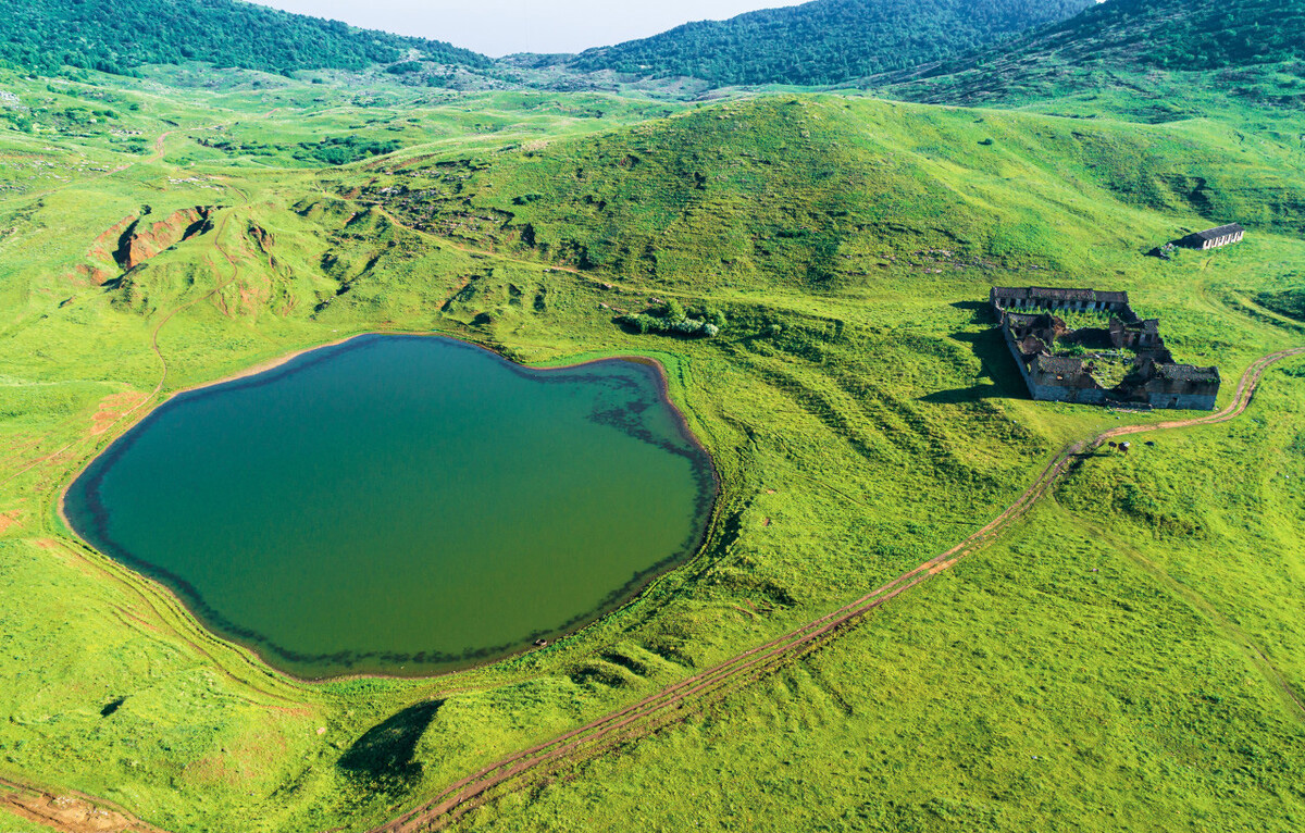 山*藏西**着个“小*疆新**”，花海湖泊草甸似仙境，不收费的满分避暑地