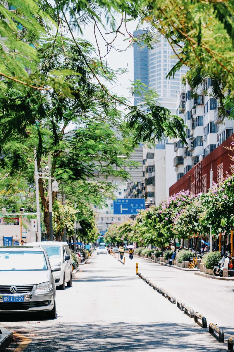 深圳市蛇口攻略,深圳海岛蛇口
