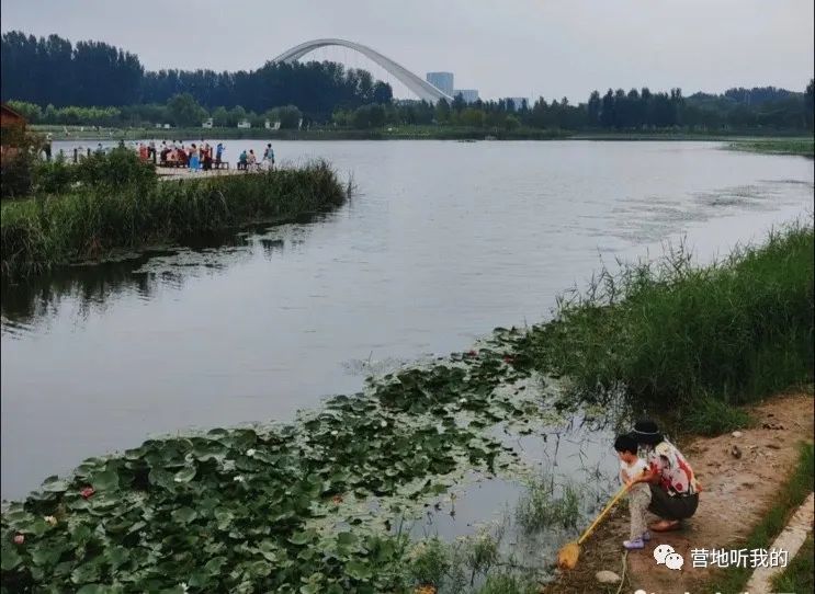 捞小河里的小蝌蚪,上海抓小蝌蚪的公园