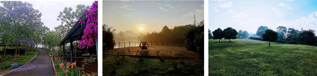 合作共赢！日光域百村振兴计划成渝首发第一村——新津九莲·慵也谷项目招商启动