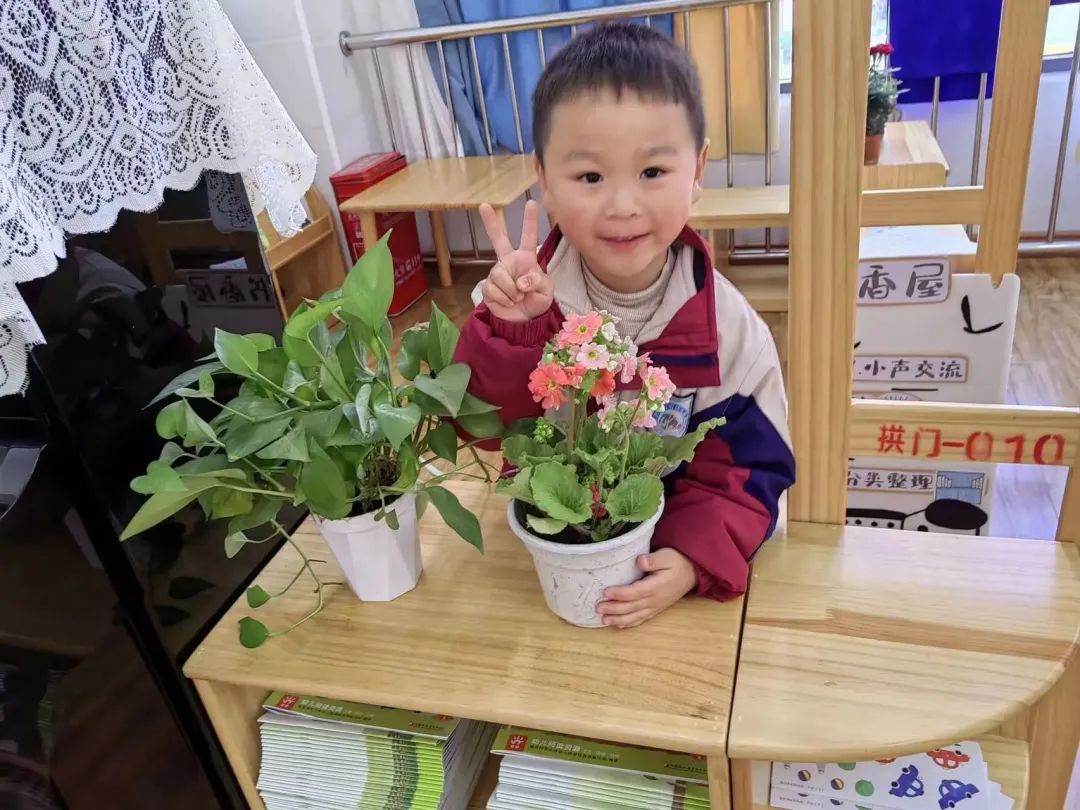 洪雅县第四幼儿园叫什么名字,洪雅第四幼儿园在哪里