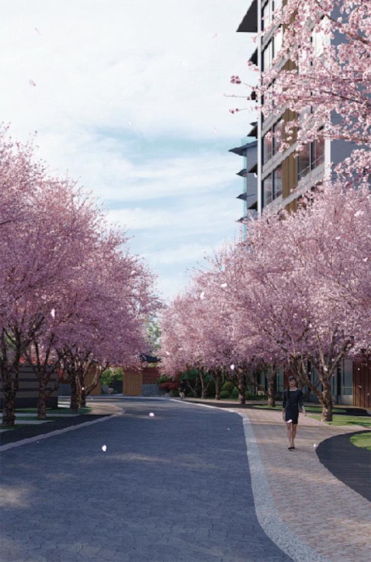 中国「最美樱花社区」┃国宝级大师小林政彦x小坂龙xG.A.D设计