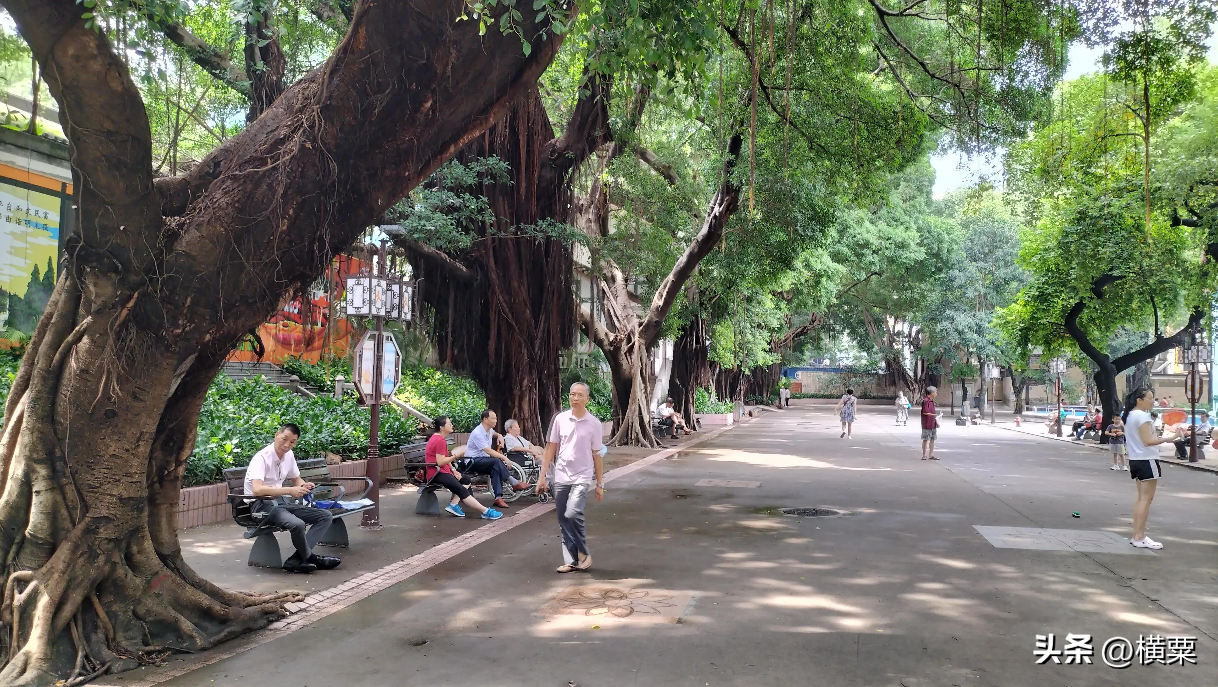 广州十三行简介,广州十三行曾经的辉煌