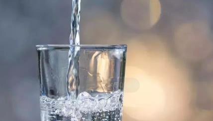 5个月的拉布拉多吃不胖,5岁拉布拉多不能站立