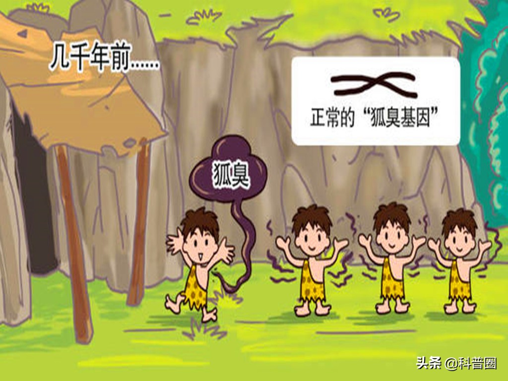 狐臭是怎么产生的？科学证实：有狐臭正常，没狐臭才是“变异者”