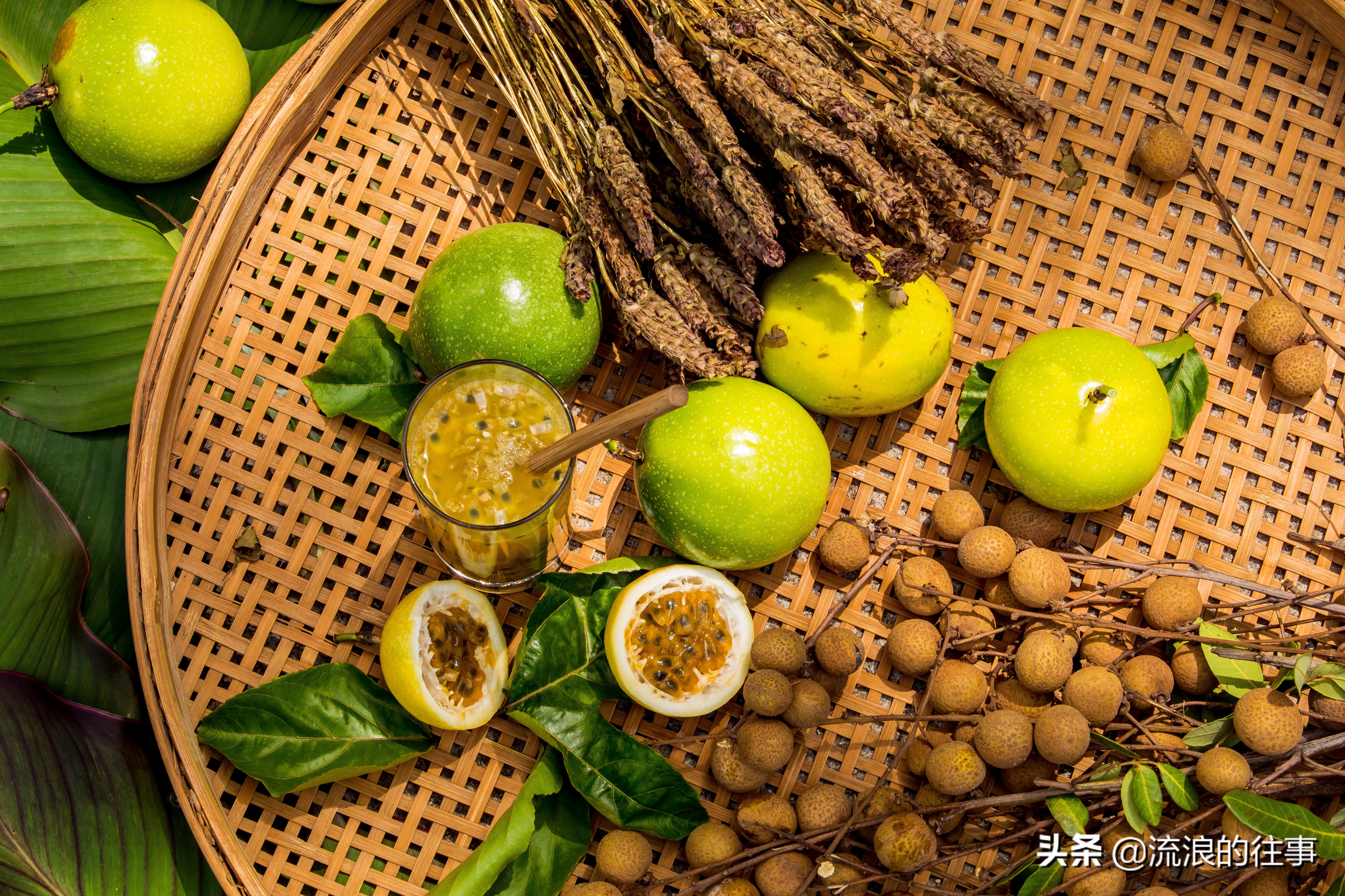 当下黄金百香果最好的品种是,日本黄金百香果什么品种好