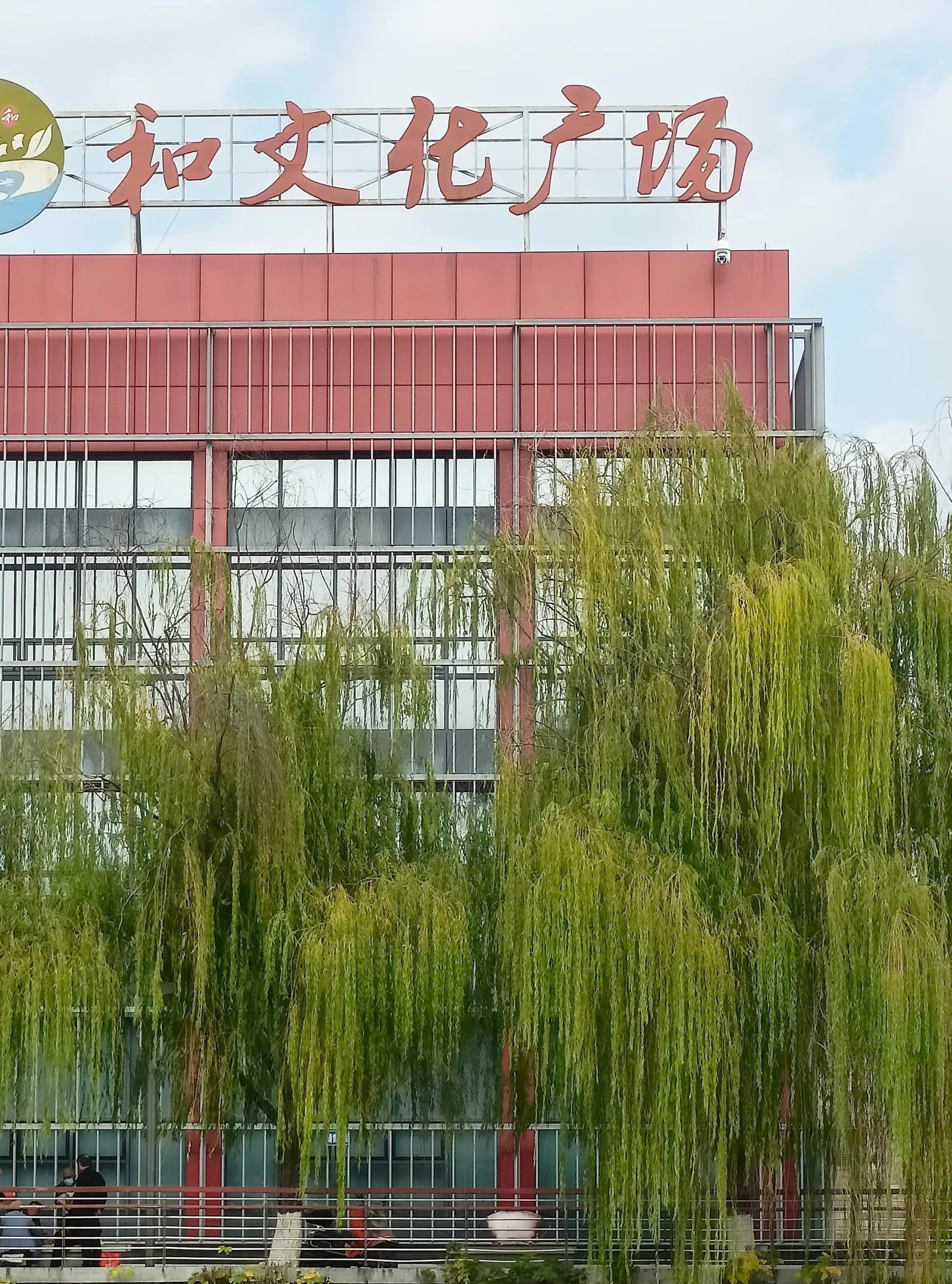 世界杯看见足球能想到什么,世界杯看到他们你想起什么