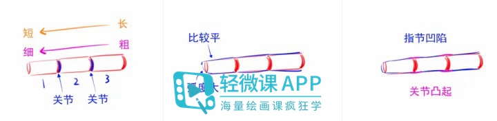 动漫人物的手部教程,简单动漫手部绘画