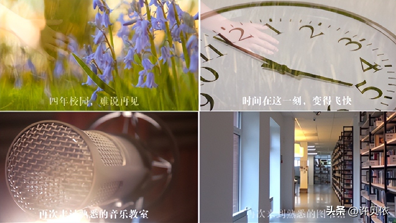 adobeindesign是什么,adobepremierepro是什么软件